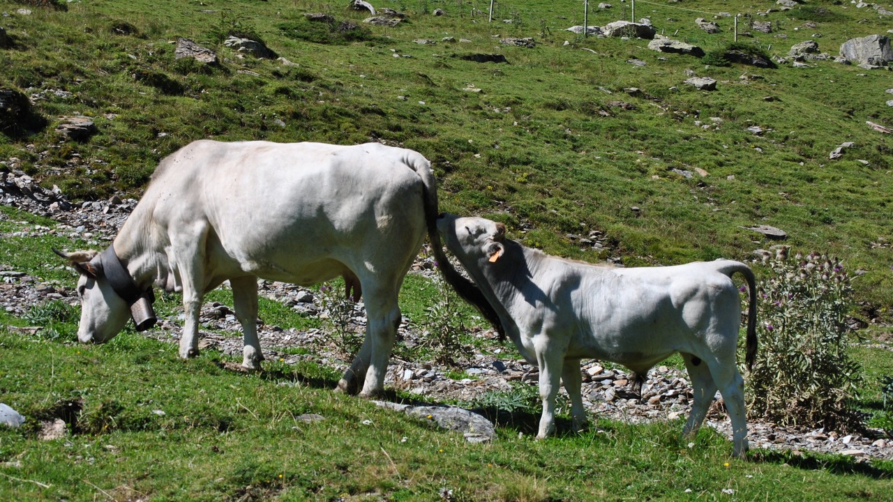 Photo of Outdoor in Orlu