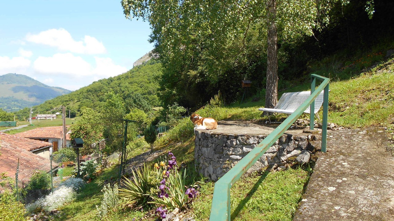 Photo of Outdoor in Thebe