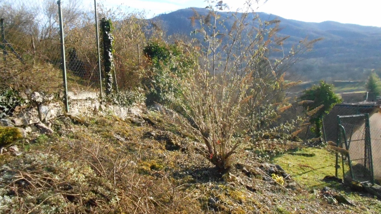 Photo of Outdoor in Thebe