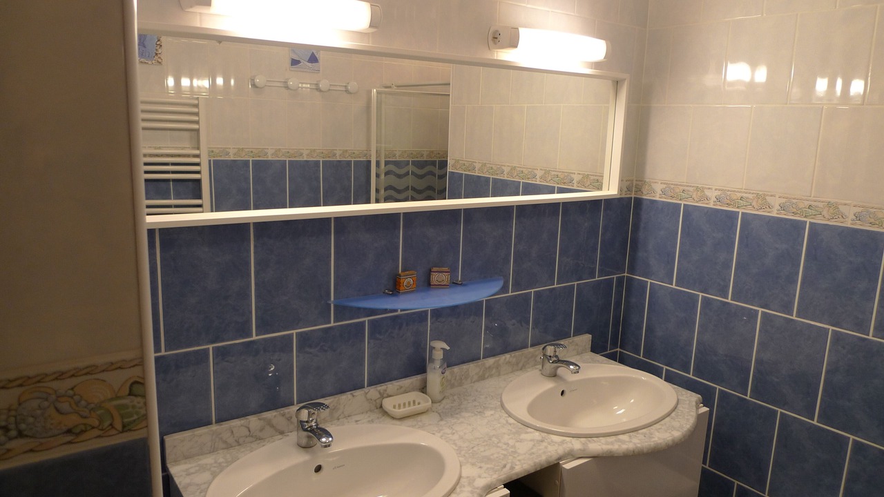 Photo of Bathroom in Chatillon-sous-les-Cotes