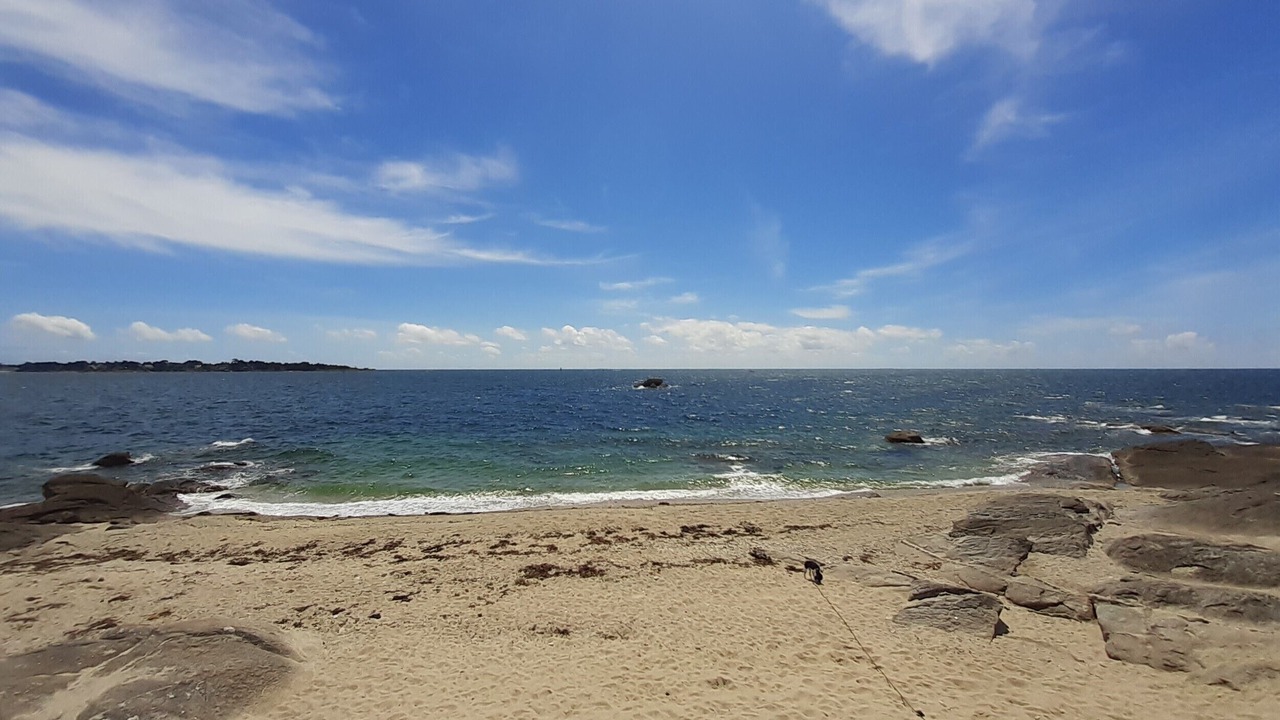Photo of Others in Concarneau