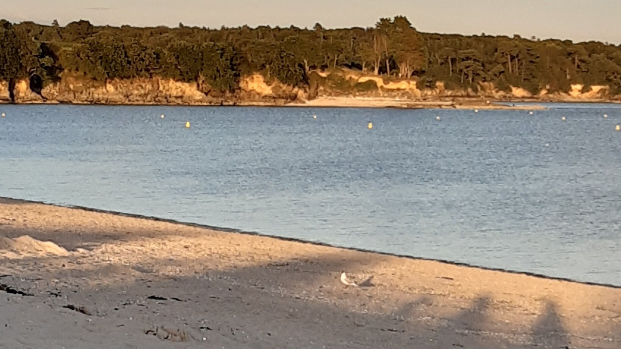 Photo of Others in Concarneau