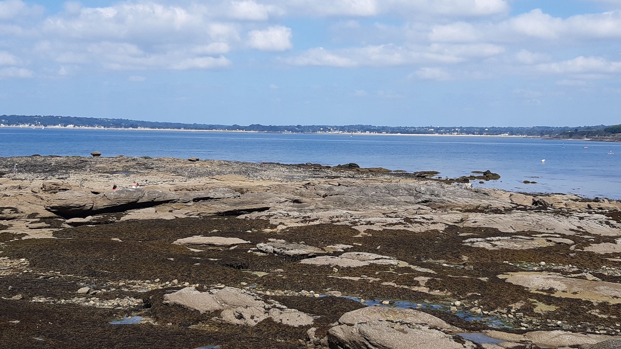 Photo of Others in Concarneau