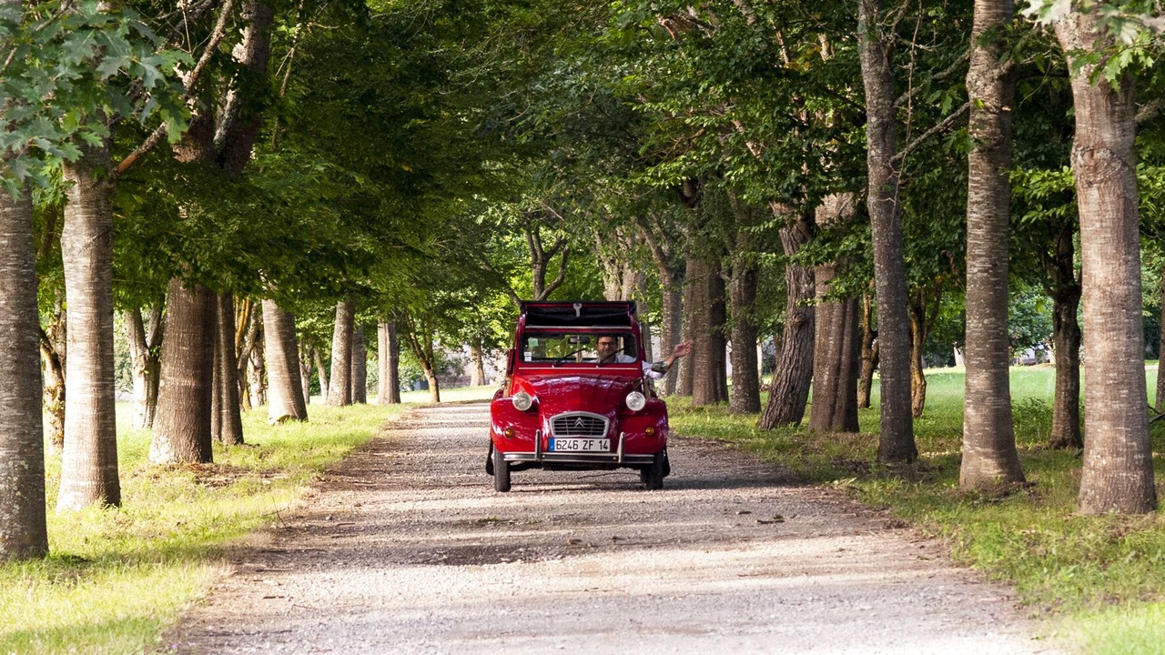 Photo of Outdoor in Saint-Martory