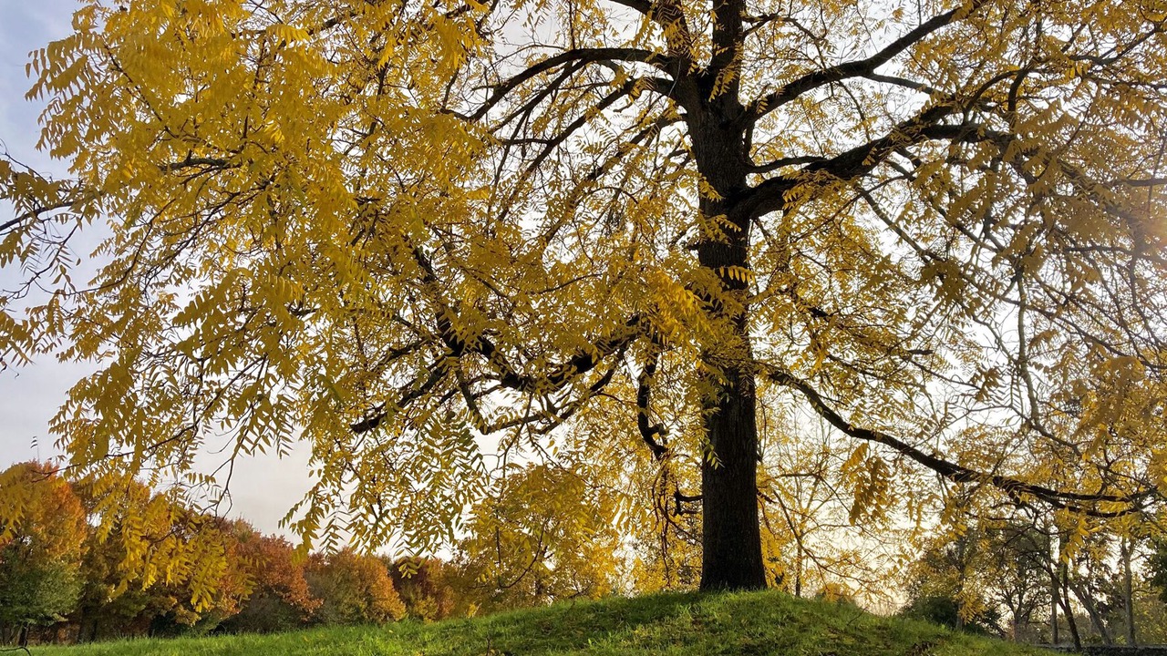 Photo of Outdoor in Saint-Martory