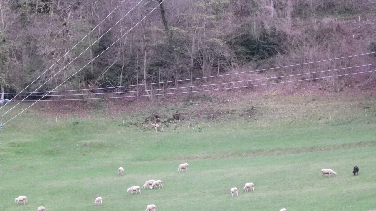 Photo of Others in Luz-Saint-Sauveur