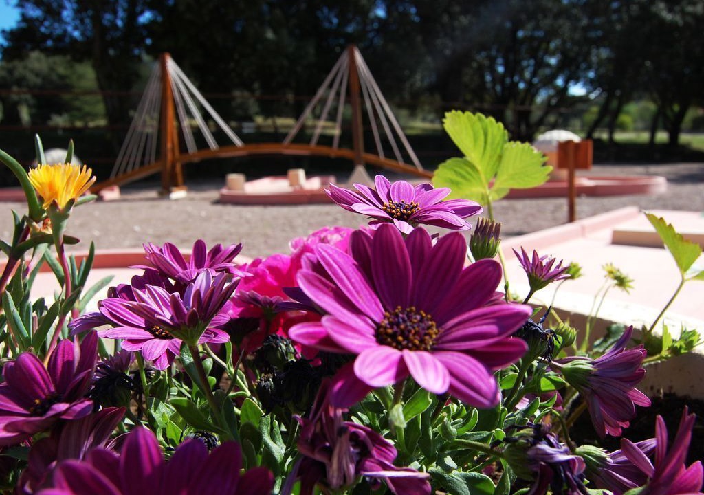 Photo of Outdoor in Ampus