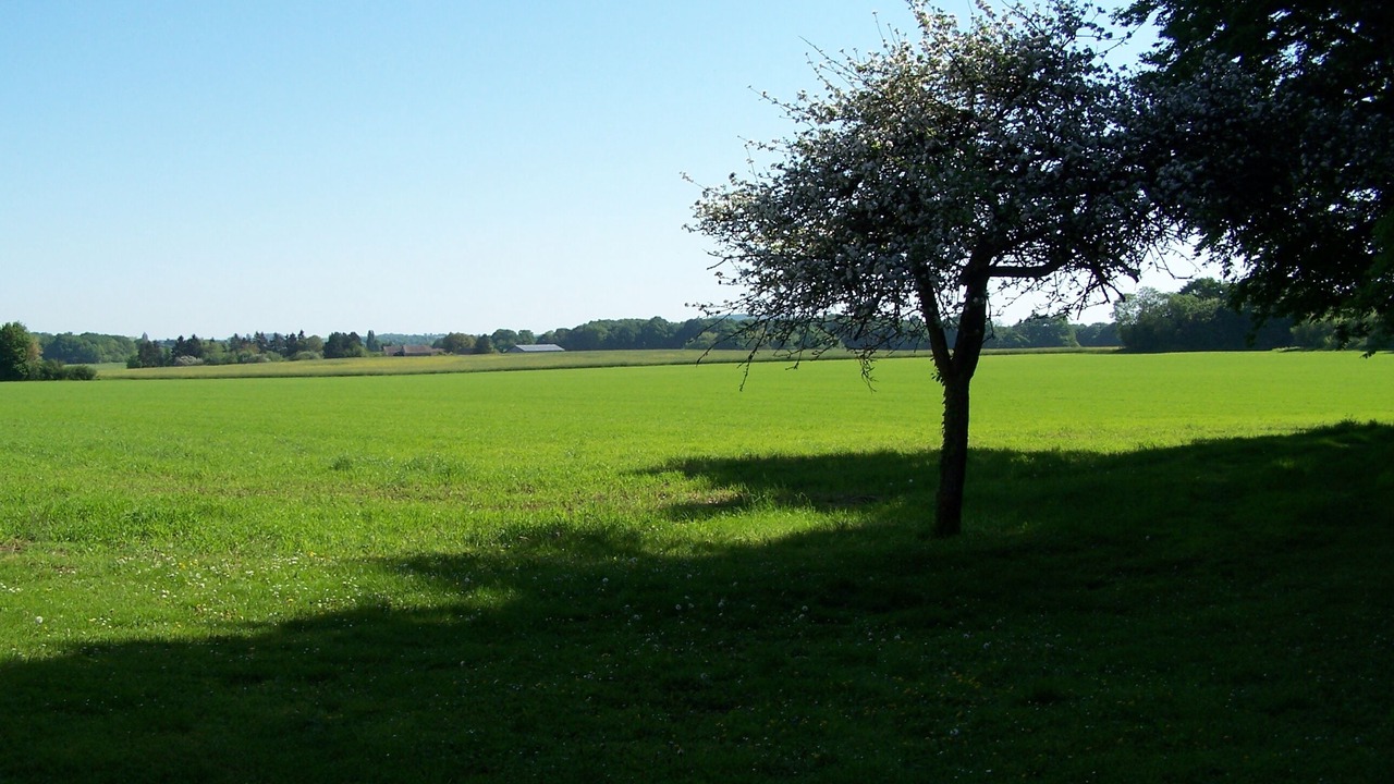 Photo of Others in Dormelles