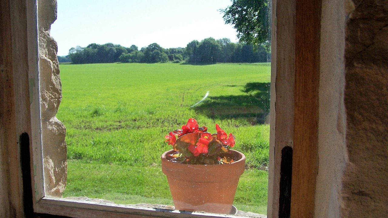 Photo of Others in Dormelles