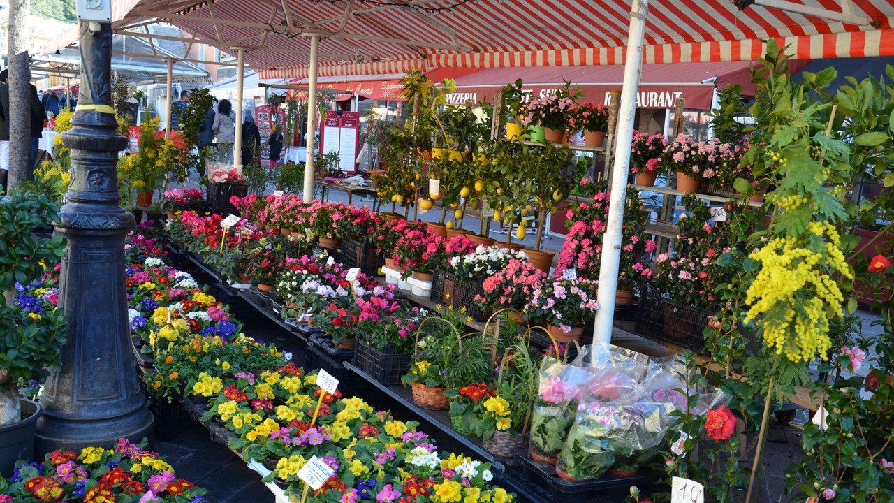 Photo of Outdoor in Saint-Roch