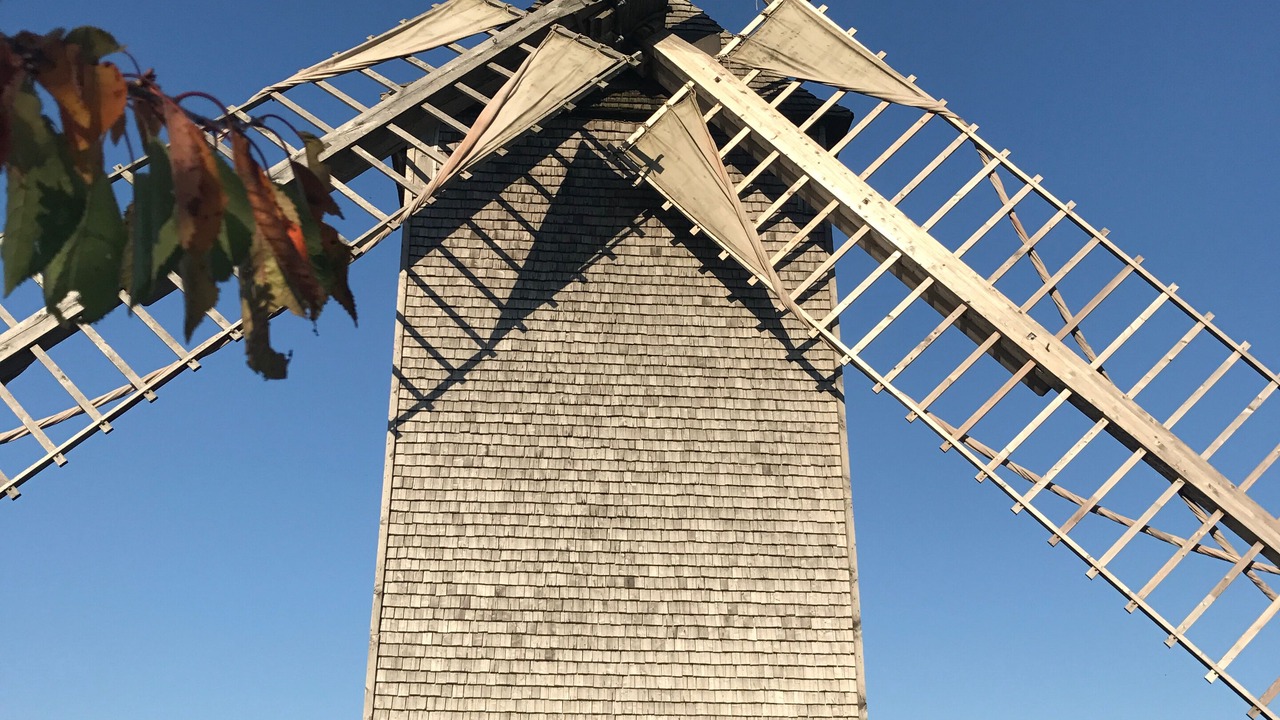 Photo of Others in Fralignes
