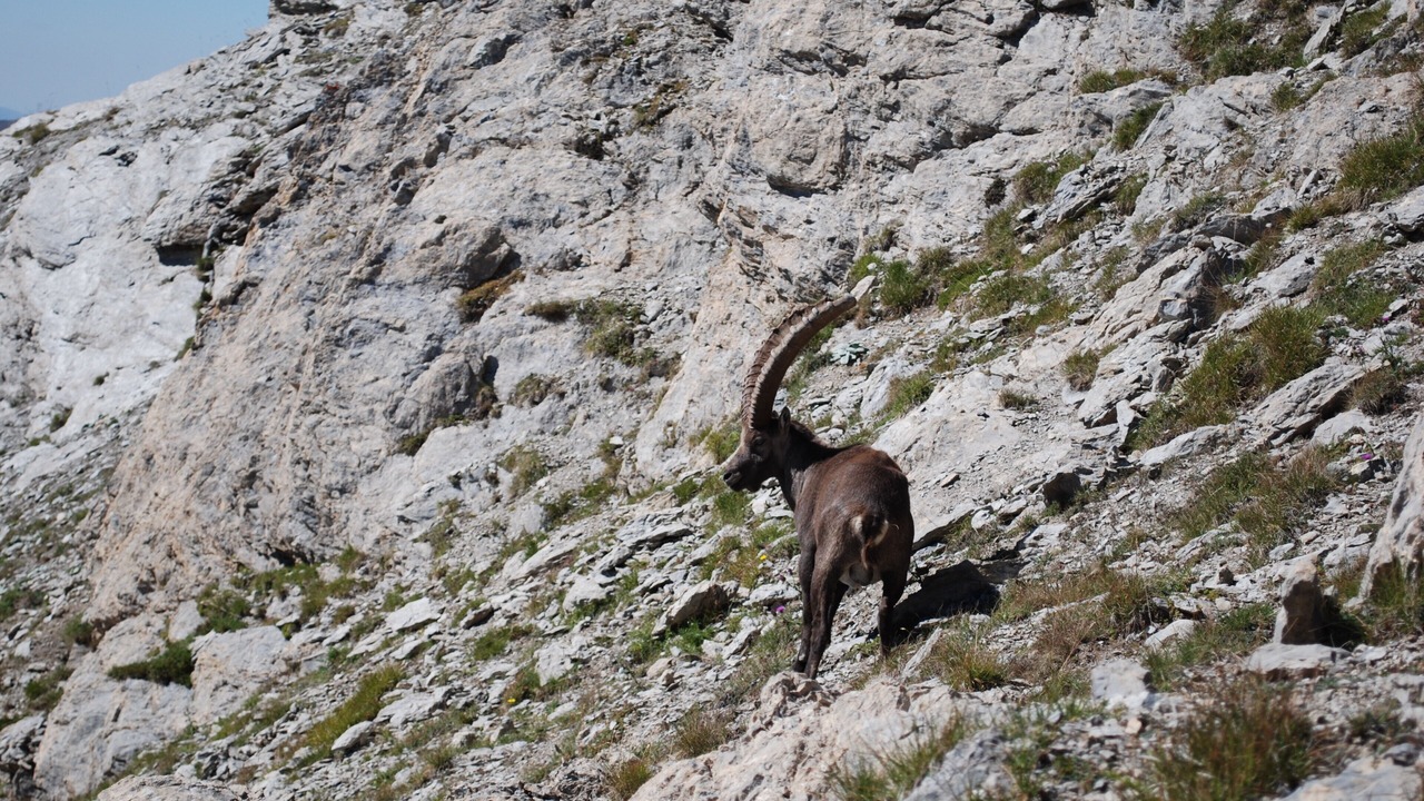 Photo of Others in Le Sauze