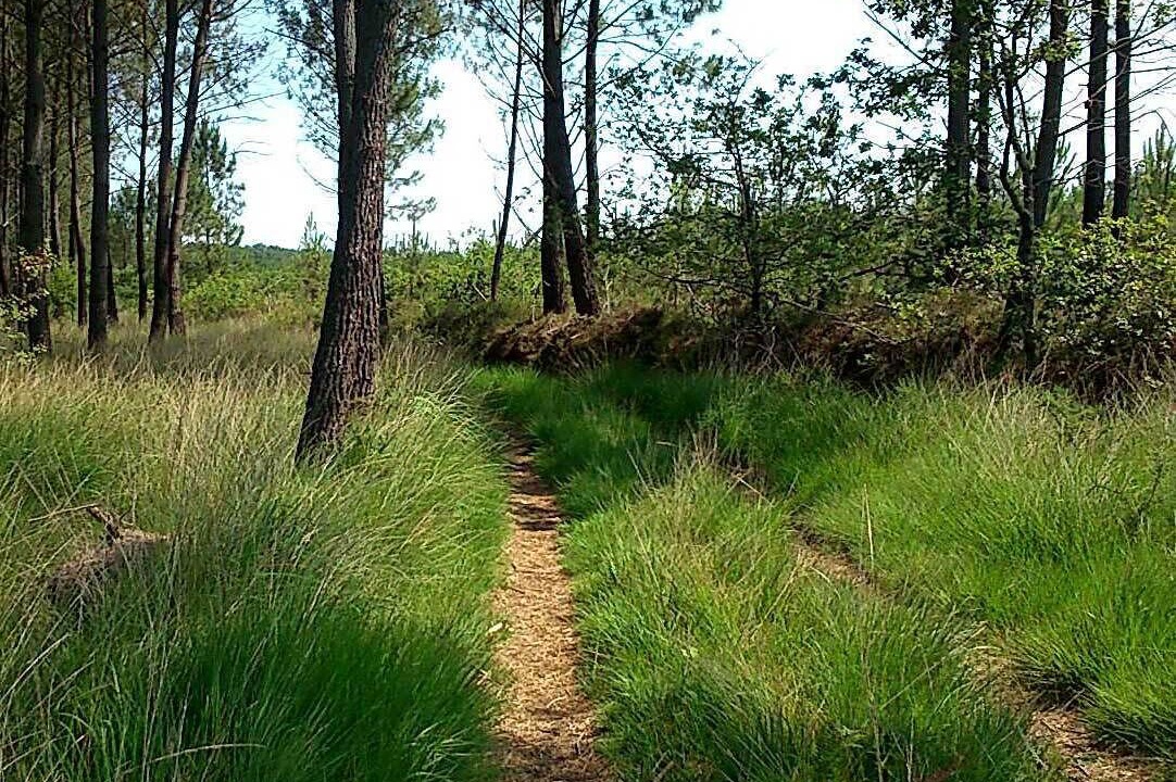 Photo of Outdoor in Saubion