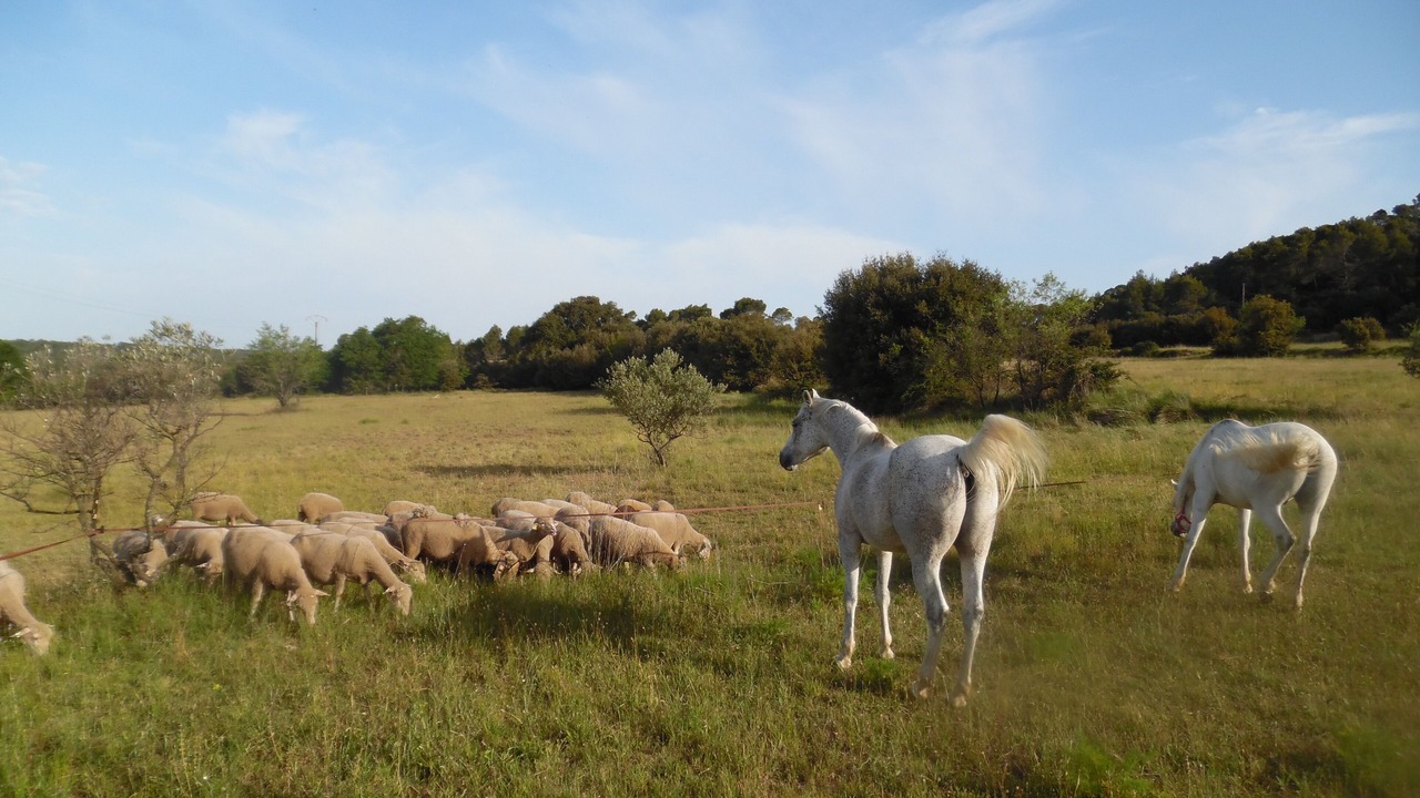 Photo of Outdoor in Aups
