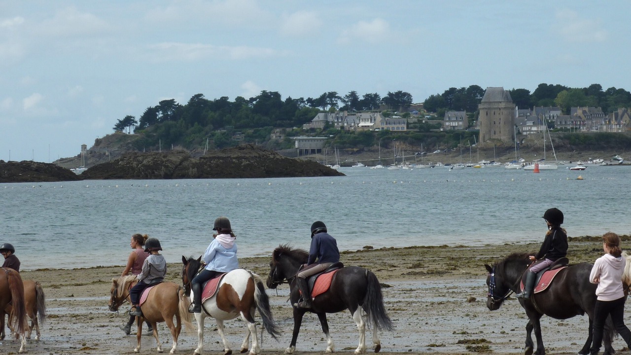 Photo of Others in Le Rosais-La Flourie