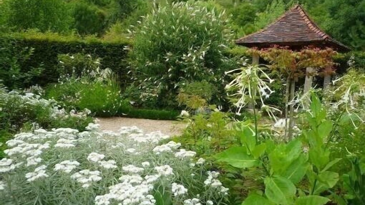 Photo of Outdoor in Thonnance-Les-Joinville