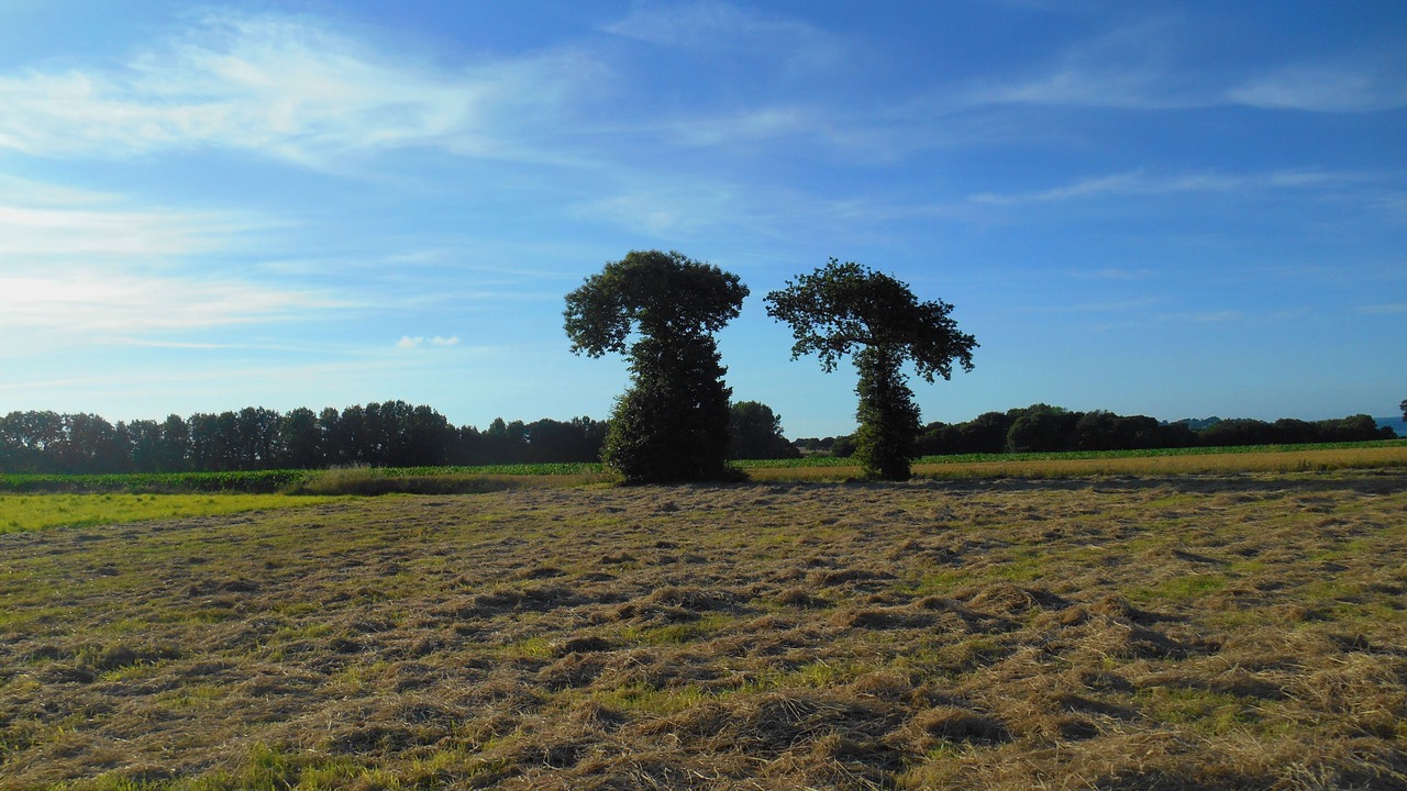 Photo of Others in Tregon