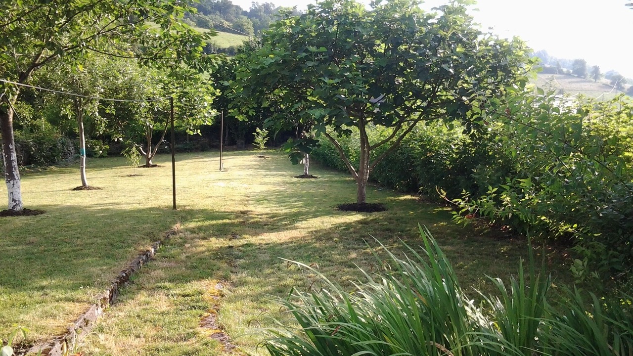 Photo of Outdoor in Louvie Juzon