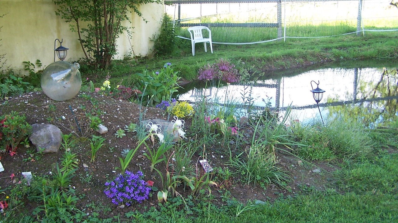 Photo of Outdoor in Ban-de-Laveline