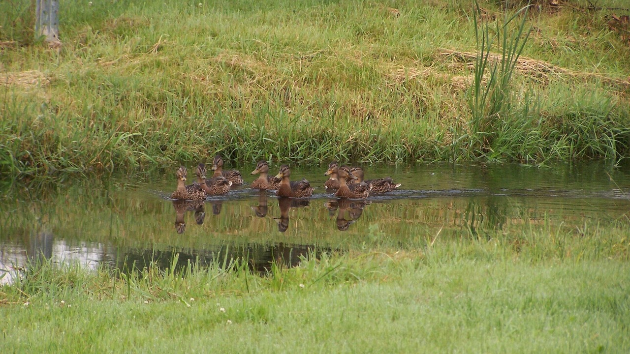 Photo of Outdoor in Ban-de-Laveline