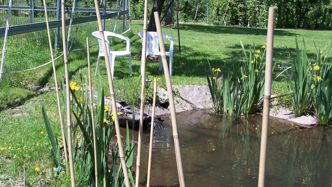 Photo of Outdoor in Ban-de-Laveline