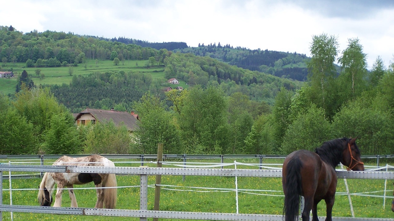 Photo of Outdoor in Ban-de-Laveline