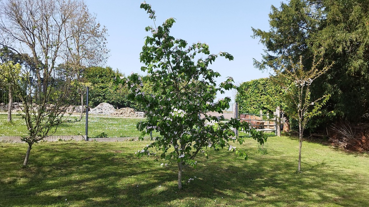 Photo of Outdoor in Plestin-les-Greves