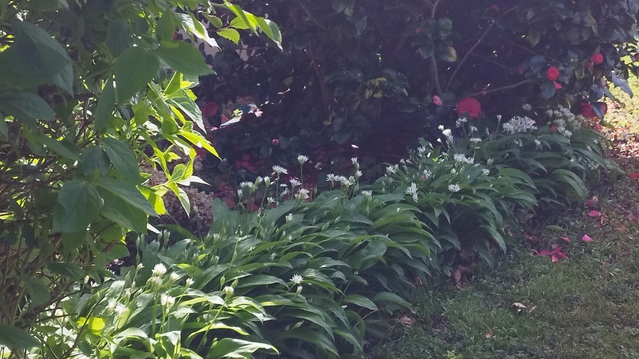 Photo of Outdoor in Plestin-les-Greves