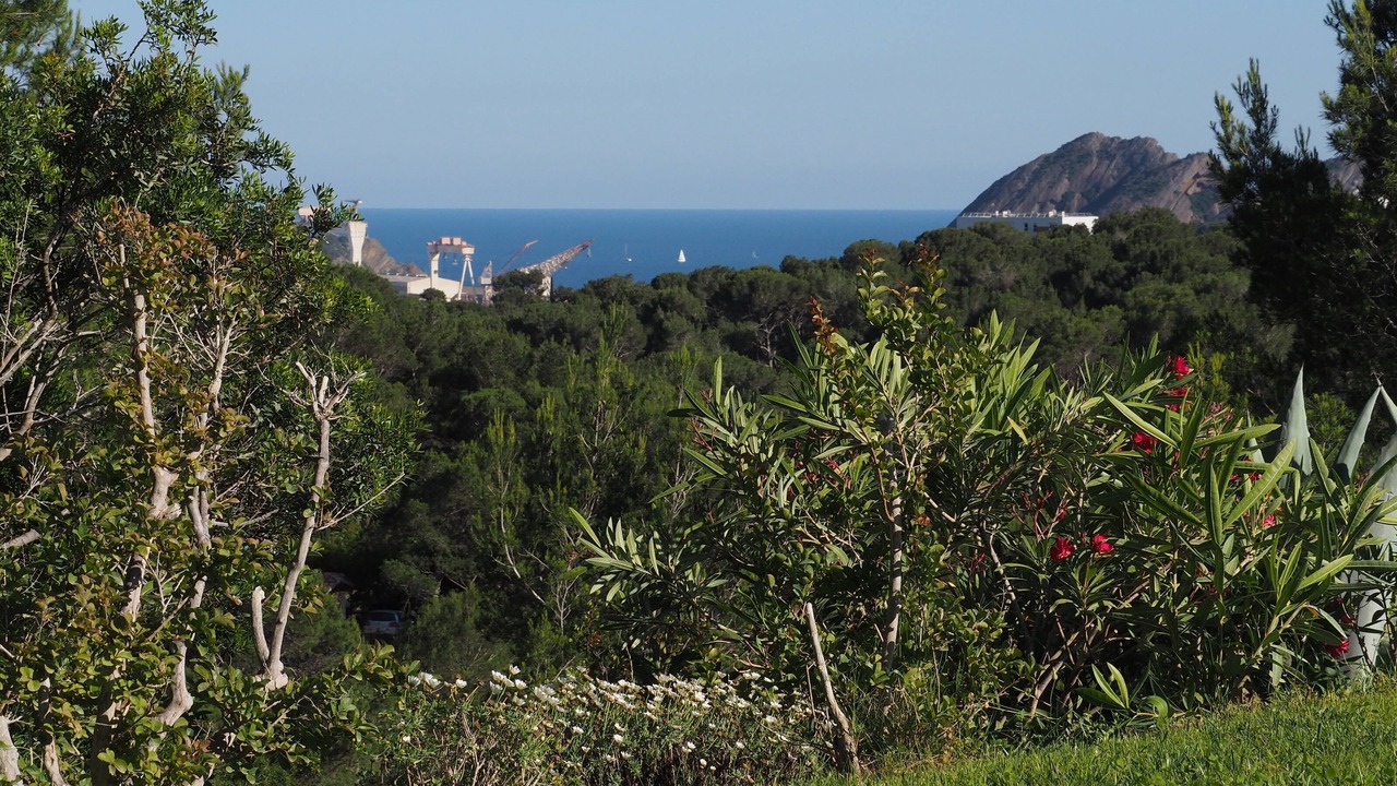 Photo of Outdoor in La Ciotat