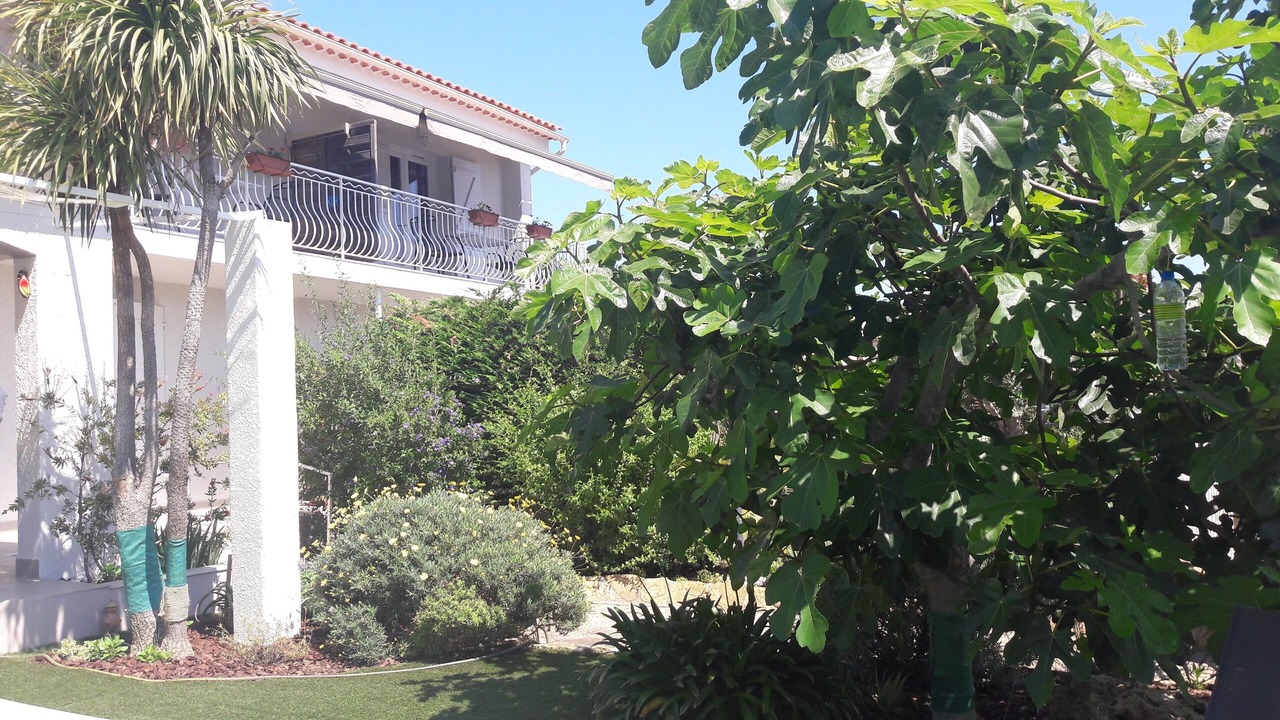 Photo of Outdoor in Six-Fours-les-Plages