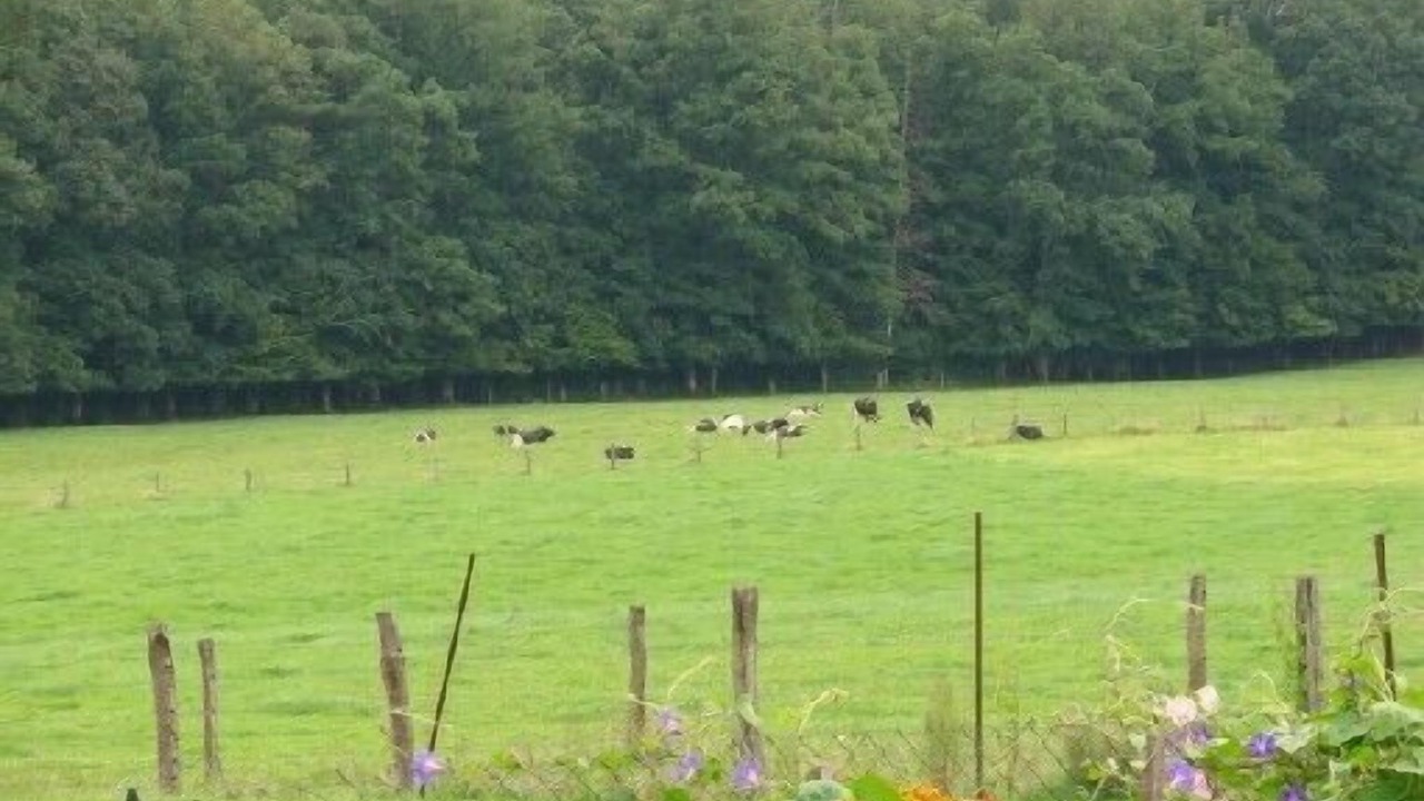 Photo of Outdoor in Bonvillet