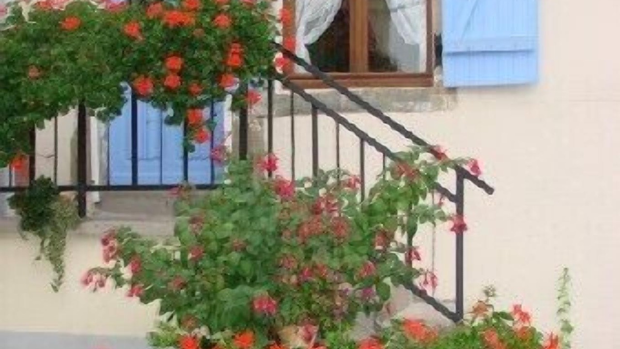 Photo of Outdoor in Bonvillet