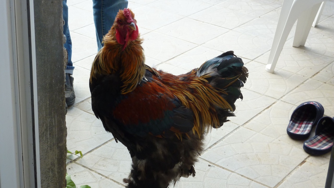 Photo of Others in Evran