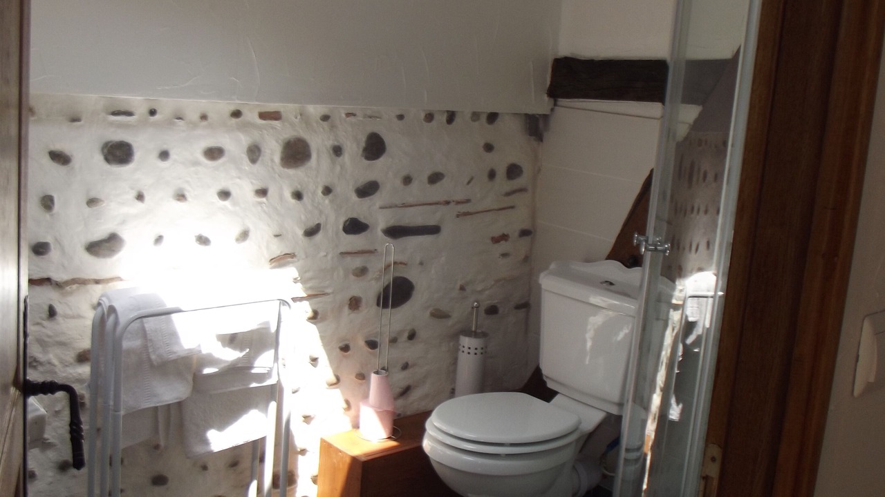 Photo of Bathroom in Larreule