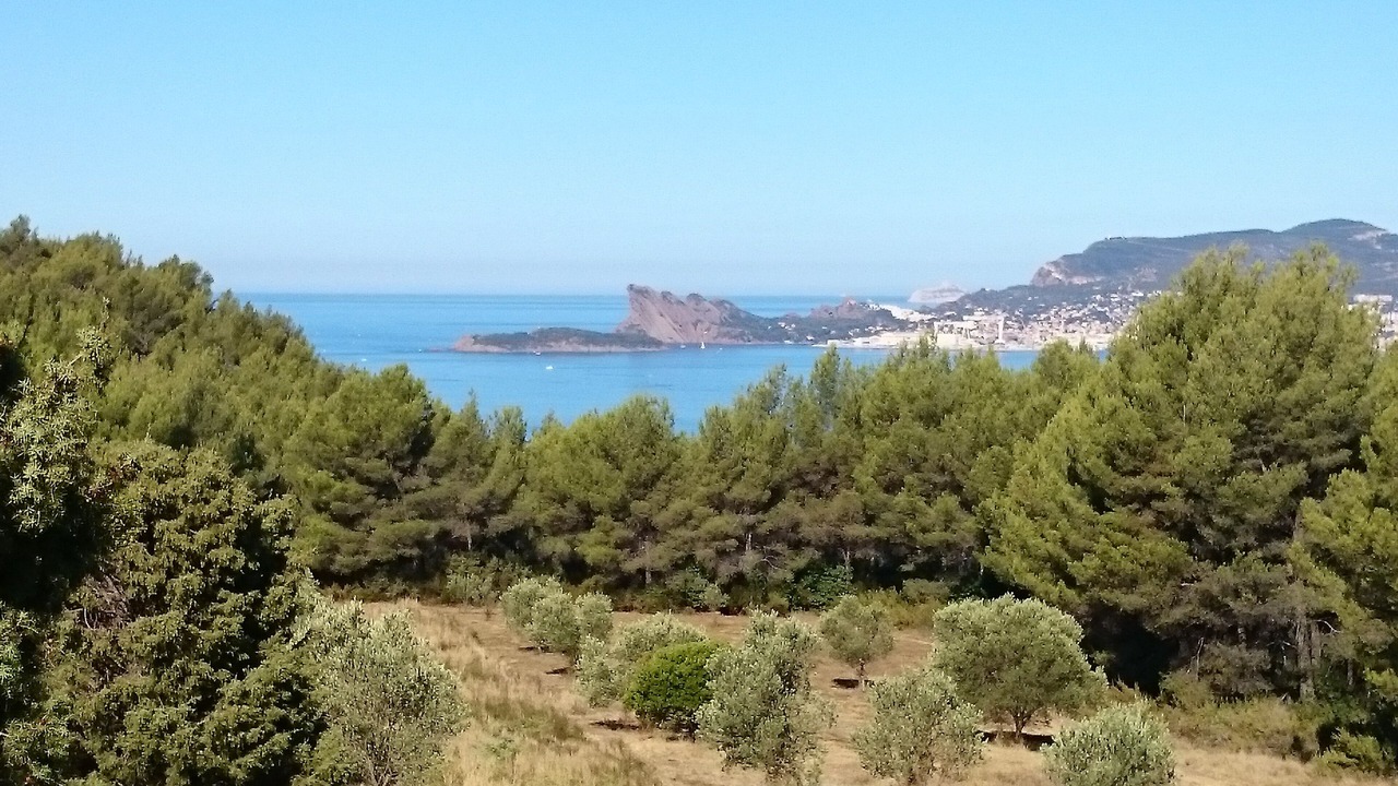 Photo of Others in La Cadiere-d'Azur