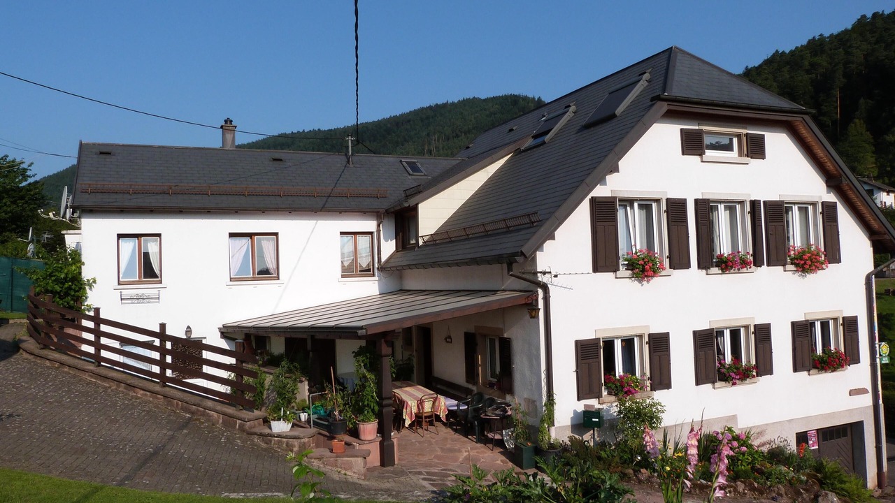 Photo of Outdoor in Wangenbourg-Engenthal