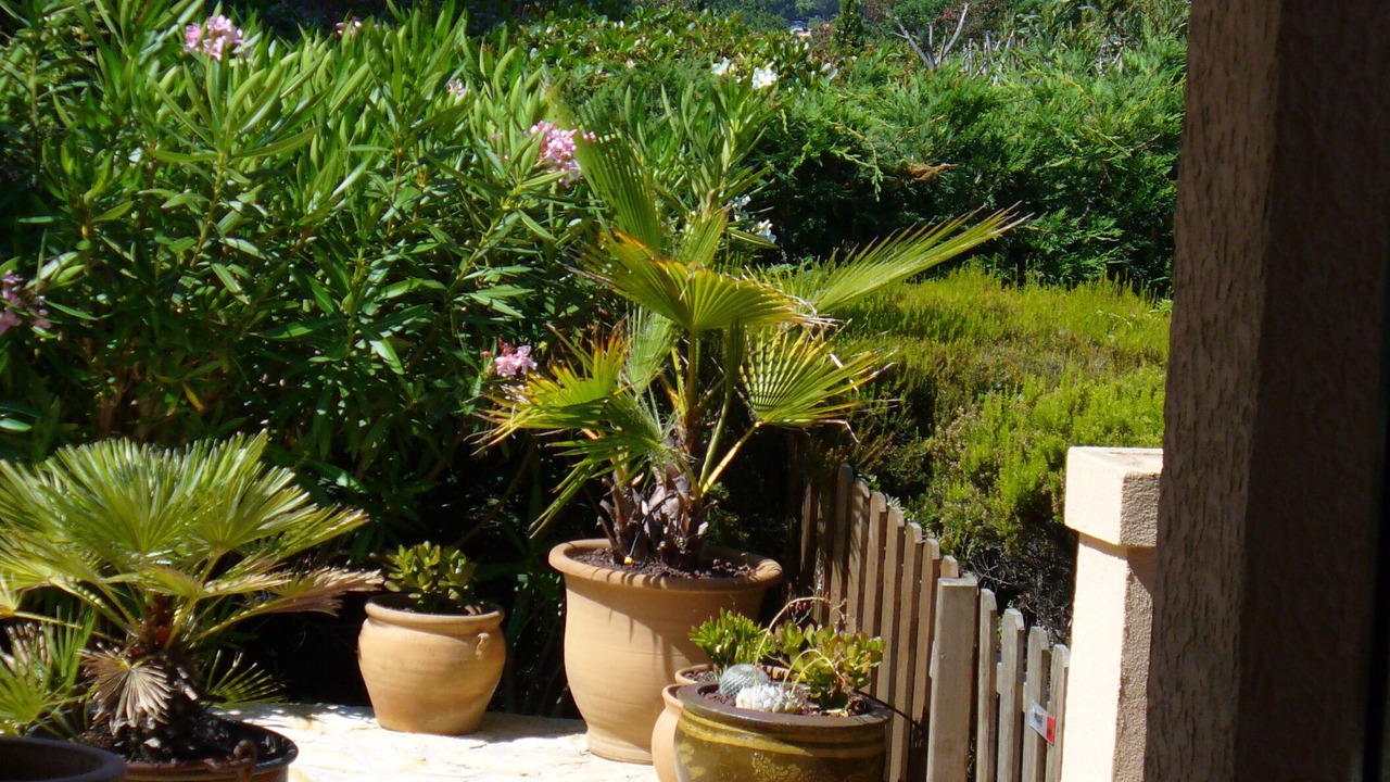Photo of Patio Balcony in Rayol-Canadel-sur-Mer