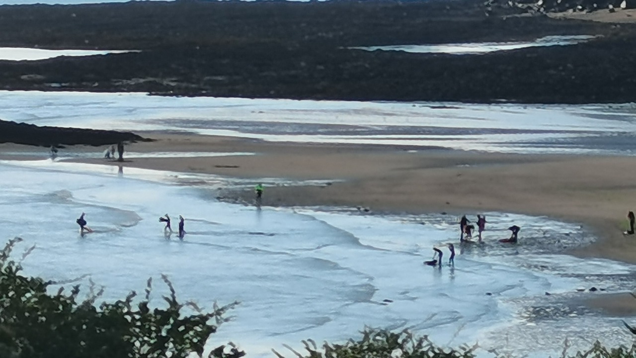 Photo of Others in Etables-sur-Mer