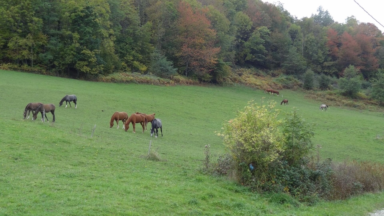 Photo of Outdoor in Montferrier