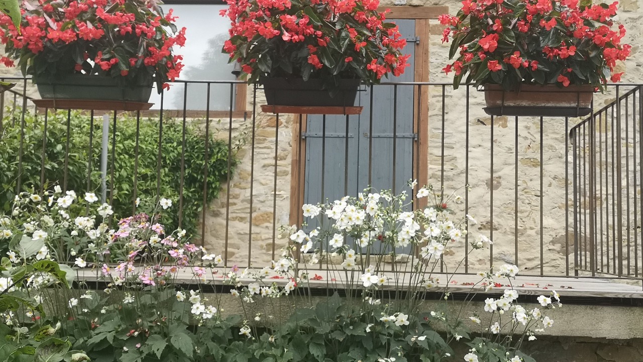 Photo of Outdoor in Montferrier