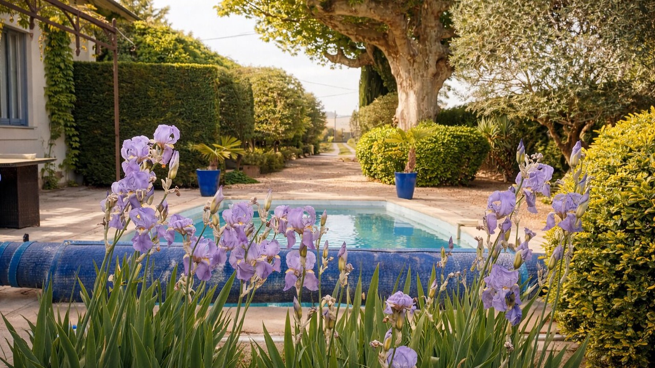 Photo of Outdoor in Cabannes