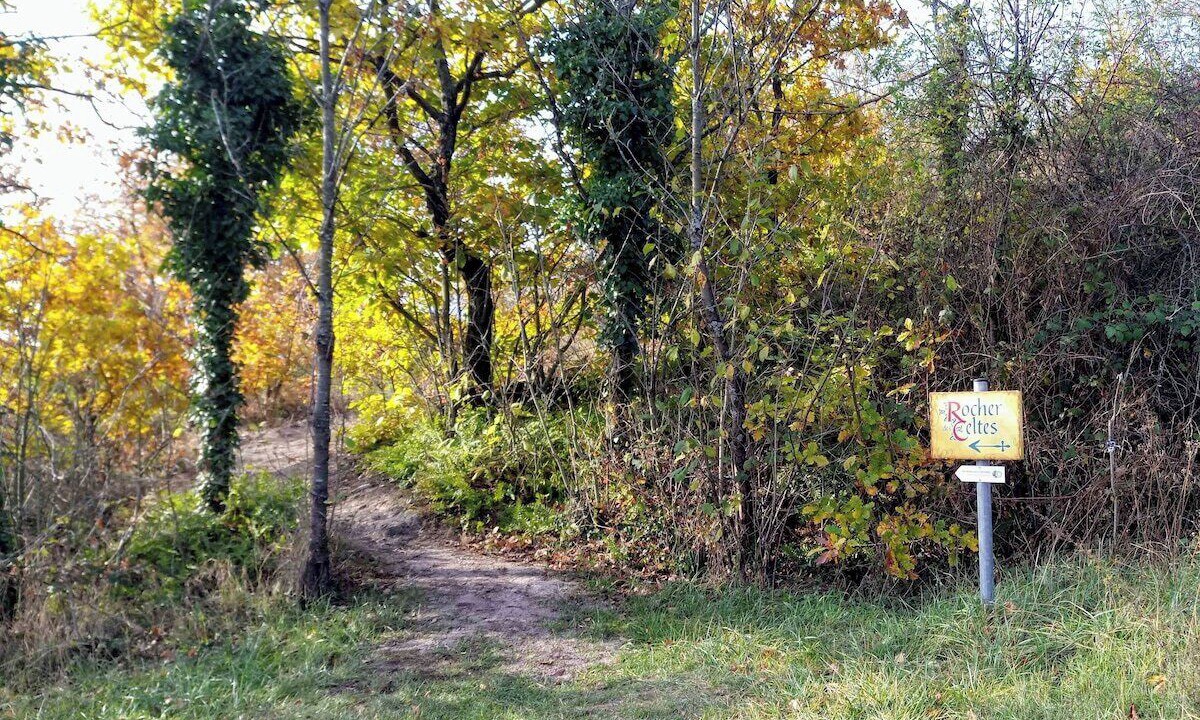 Photo of Outdoor in Dieffenthal