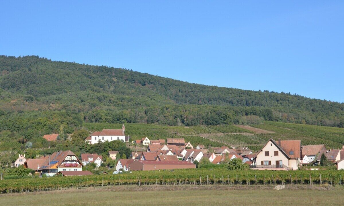 Photo of Others in Dieffenthal