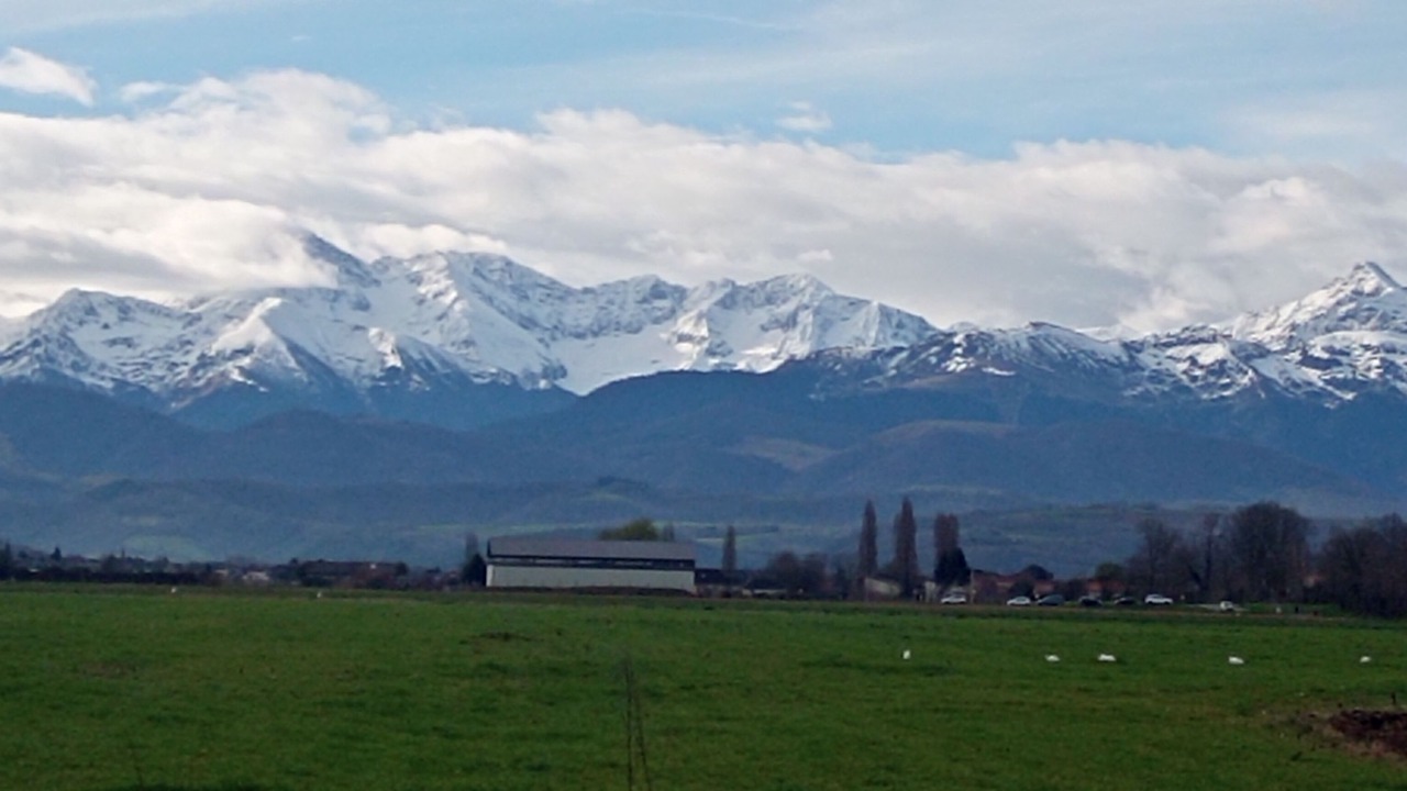 Photo of Others in Peyraube