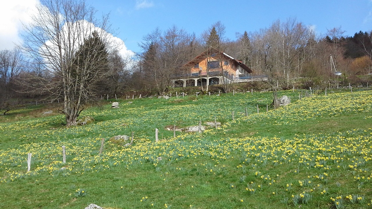Photo of Outdoor in Le Tholy