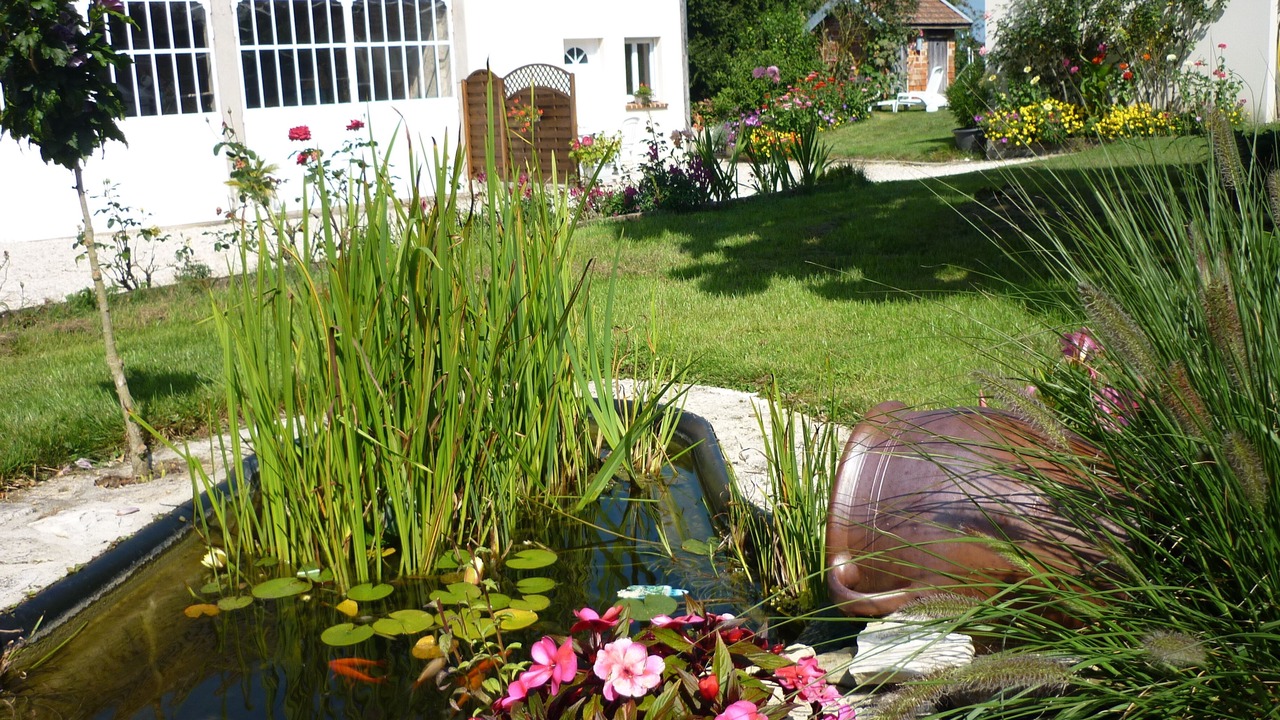 Photo of Outdoor in Montieramey