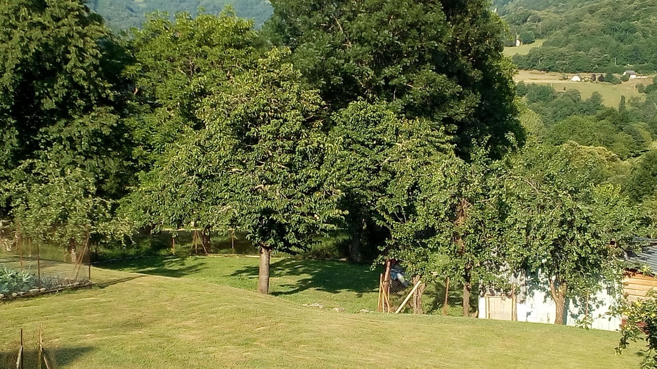 Photo of Outdoor in Ouste
