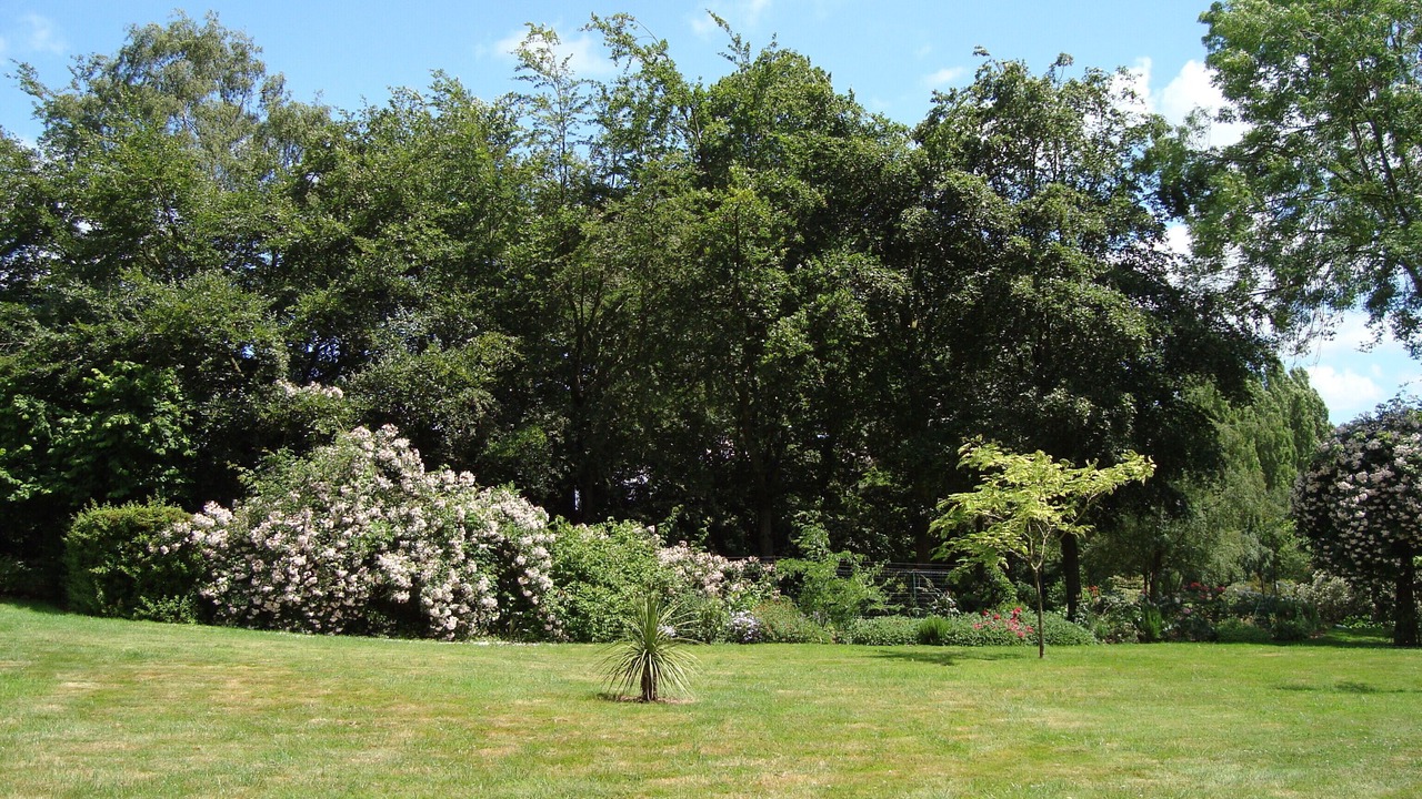 Photo of Outdoor in Plouagat