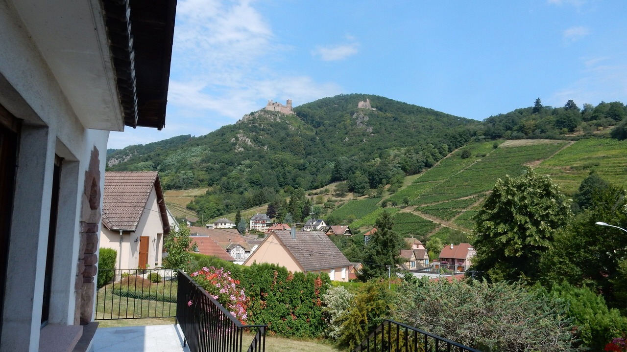 Photo of Outdoor in Ribeauville