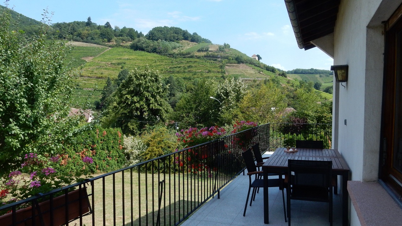 Photo of Outdoor in Ribeauville
